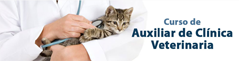 Curso de auxiliar de veterinaria